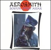 Bootleg Cover